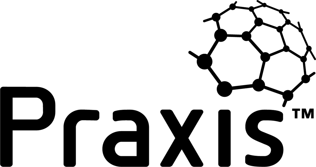 Praxis training in Brisbane classroom